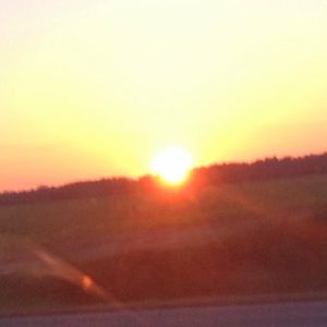 Meet your Posher, Fanny